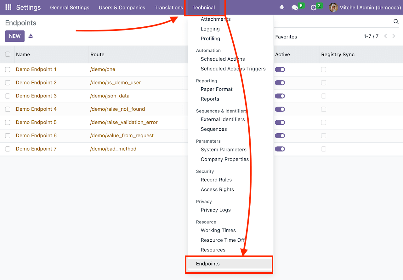 Odoo Technical menu with Endpoints selected